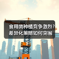 食用菌种植竞争激烈?差异化策略如何突围(图2) 食用菌种植竞争激烈?差异化策略如何突围(图2)