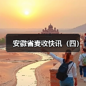 安徽省麦收快讯(四)(图4) 安徽省麦收快讯(四)(图4)