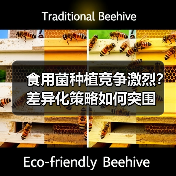 食用菌种植竞争激烈?差异化策略如何突围(图4) 食用菌种植竞争激烈?差异化策略如何突围(图4)