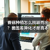 香菇种植怎么脱颖而出？菌盖差异化才是真本事