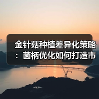 金针菇种植差异化策略:菌柄优化如何打造市场爆款?(图3) 金针菇种植差异化策略:菌柄优化如何打造市场爆款?(图3)