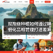 双孢菇种植如何通过精细化品相管理打造差异化竞争力?(图2) 双孢菇种植如何通过精细化品相管理打造差异化竞争力?(图2)
