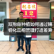 双孢菇种植如何通过精细化品相管理打造差异化竞争力?(图4) 双孢菇种植如何通过精细化品相管理打造差异化竞争力?(图4)
