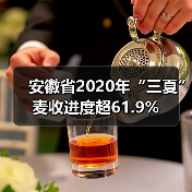 安徽省2020年“三夏”麦收进度超61.9%（图1）