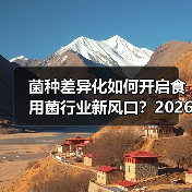 菌种差异化如何开启食用菌行业新风口?2026年赢在先机!(图2) 菌种差异化如何开启食用菌行业新风口?2026年赢在先机!(图2)