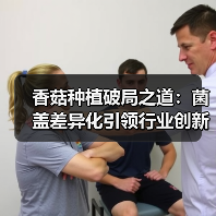 香菇种植破局之道:菌盖差异化引领行业创新竞争(图4) 香菇种植破局之道:菌盖差异化引领行业创新竞争(图4)