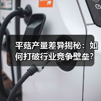 平菇产量差异揭秘:如何打破行业竞争壁垒?(图3) 平菇产量差异揭秘:如何打破行业竞争壁垒?(图3)