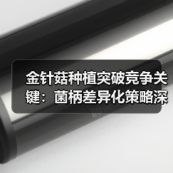 金针菇种植突破竞争关键：菌柄差异化策略深度解析