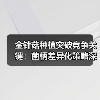 金针菇种植突破竞争关键:菌柄差异化策略深度解析(图3) 金针菇种植突破竞争关键:菌柄差异化策略深度解析(图3)