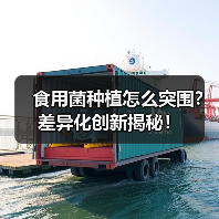 食用菌种植怎么突围?差异化创新揭秘!(图4) 食用菌种植怎么突围?差异化创新揭秘!(图4)