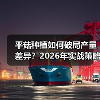 平菇种植如何破局产量差异?2026年实战策略解析(图2) 平菇种植如何破局产量差异?2026年实战策略解析(图2)