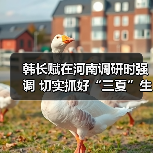韩长赋在河南调研时强调 切实抓好“三夏”生产 确保小康之年粮食和农业丰收(图3) 韩长赋在河南调研时强调 切实抓好“三夏”生产 确保小康之年粮食和农业丰收(图3)
