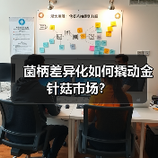 菌柄差异化如何撬动金针菇市场？