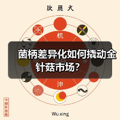 菌柄差异化如何撬动金针菇市场?(图2) 菌柄差异化如何撬动金针菇市场?(图2)
