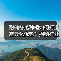 耐储冬瓜种植如何打造差异化优势?揭秘行业竞争新路径(图2) 耐储冬瓜种植如何打造差异化优势?揭秘行业竞争新路径(图2)
