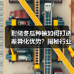 耐储冬瓜种植如何打造差异化优势?揭秘行业竞争新路径(图4) 耐储冬瓜种植如何打造差异化优势?揭秘行业竞争新路径(图4)