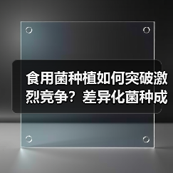 食用菌种植如何突破激烈竞争？差异化菌种成关键
