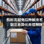揭秘高甜南瓜种植技术：甜度差异化关键策略