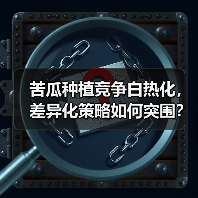 苦瓜种植竞争白热化,差异化策略如何突围?(图4) 苦瓜种植竞争白热化,差异化策略如何突围?(图4)