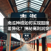 南瓜种植如何实现甜度差异化?揭秘高利润突围策略(图2) 南瓜种植如何实现甜度差异化?揭秘高利润突围策略(图2)