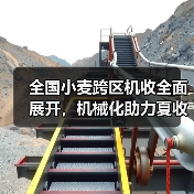 全国小麦跨区机收全面展开,机械化助力夏收丰收(图2) 全国小麦跨区机收全面展开,机械化助力夏收丰收(图2)