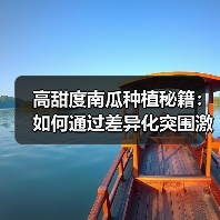 高甜度南瓜种植秘籍：如何通过差异化突围激烈市场？