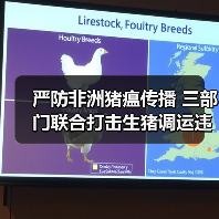 严防非洲猪瘟传播 三部门联合打击生猪调运违规行为(图2) 严防非洲猪瘟传播 三部门联合打击生猪调运违规行为(图2)