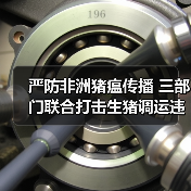 严防非洲猪瘟传播 三部门联合打击生猪调运违规行为(图3) 严防非洲猪瘟传播 三部门联合打击生猪调运违规行为(图3)
