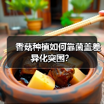 香菇种植如何靠菌盖差异化突围?(图4) 香菇种植如何靠菌盖差异化突围?(图4)