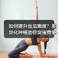 如何提升丝瓜嫩度？差异化种植助你突围竞争
