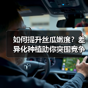 如何提升丝瓜嫩度?差异化种植助你突围竞争(图2) 如何提升丝瓜嫩度?差异化种植助你突围竞争(图2)