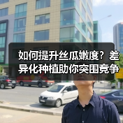 如何提升丝瓜嫩度?差异化种植助你突围竞争(图3) 如何提升丝瓜嫩度?差异化种植助你突围竞争(图3)