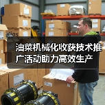 油菜机械化收获技术推广活动助力高效生产(图3) 油菜机械化收获技术推广活动助力高效生产(图3)