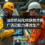 油菜机械化收获技术推广活动助力高效生产（图4）