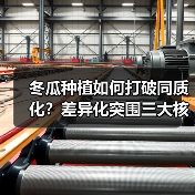 冬瓜种植如何打破同质化?差异化突围三大核心策略(图2) 冬瓜种植如何打破同质化?差异化突围三大核心策略(图2)