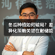 冬瓜种植如何破局?差异化策略关键在耐储能力(图2) 冬瓜种植如何破局?差异化策略关键在耐储能力(图2)