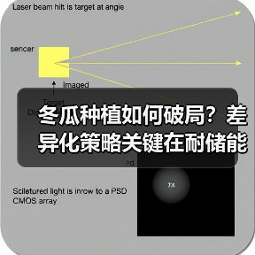 冬瓜种植如何破局?差异化策略关键在耐储能力(图4) 冬瓜种植如何破局?差异化策略关键在耐储能力(图4)
