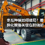 冬瓜种植如何破局?差异化策略关键在耐储能力(图3) 冬瓜种植如何破局?差异化策略关键在耐储能力(图3)