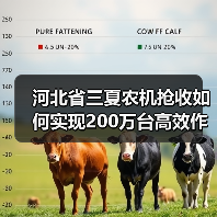 河北省三夏农机抢收如何实现200万台高效作业？（图1）