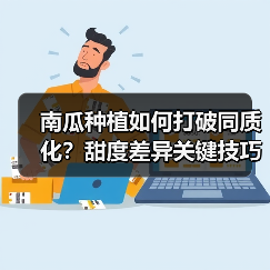 南瓜种植如何打破同质化?甜度差异关键技巧大揭秘(图4) 南瓜种植如何打破同质化?甜度差异关键技巧大揭秘(图4)
