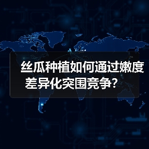 丝瓜种植如何通过嫩度差异化突围竞争?(图2) 丝瓜种植如何通过嫩度差异化突围竞争?(图2)