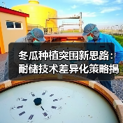 冬瓜种植突围新思路：耐储技术差异化策略揭秘