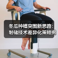 冬瓜种植突围新思路:耐储技术差异化策略揭秘(图3) 冬瓜种植突围新思路:耐储技术差异化策略揭秘(图3)