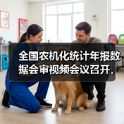 全国农机化统计年报数据会审视频会议召开,数据质量如何保障?(图4) 全国农机化统计年报数据会审视频会议召开,数据质量如何保障?(图4)