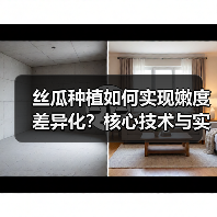 丝瓜种植如何实现嫩度差异化?核心技术与实战策略(图3) 丝瓜种植如何实现嫩度差异化?核心技术与实战策略(图3)