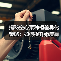 揭秘空心菜种植差异化策略:如何提升嫩度赢得市场(图2) 揭秘空心菜种植差异化策略:如何提升嫩度赢得市场(图2)