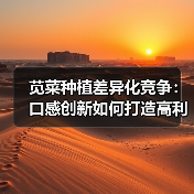 苋菜种植差异化竞争：口感创新如何打造高利润市场？