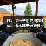 陕北深松整地完成超七成，榆林延安谁更胜一筹？（图3）