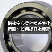 揭秘空心菜种植差异化策略:如何提升嫩度赢得市场(图4) 揭秘空心菜种植差异化策略:如何提升嫩度赢得市场(图4)