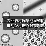 农业农村调研成果如何推动乡村振兴政策制定(图3) 农业农村调研成果如何推动乡村振兴政策制定(图3)
